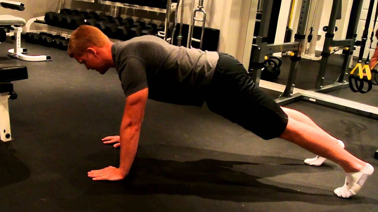 Plank Exercise: Bird Dog