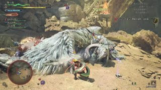 Monster Hunter Wilds　アルベル