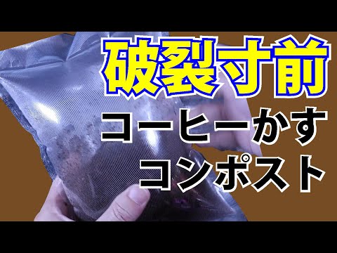 ラズベリー用のコーヒー粕：思い切って肥料に！それを最大限に活用するにはどうすればよいでしょうか?  庭園