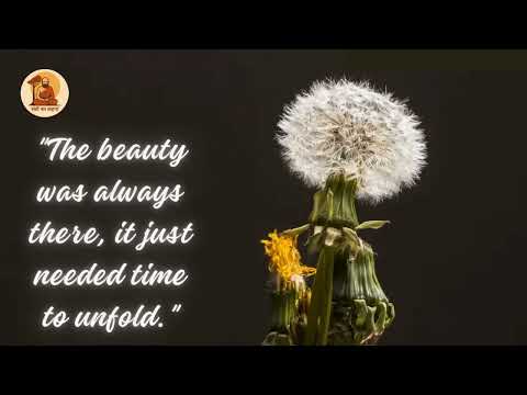 Unfolding Beauty | A Journey of Becoming 🌸