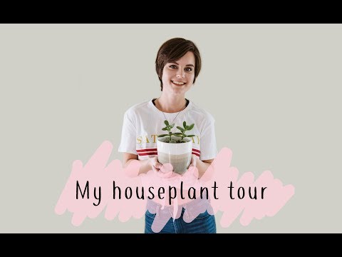 My Houseplant Tour | Plant Collection | Kelsey Styron