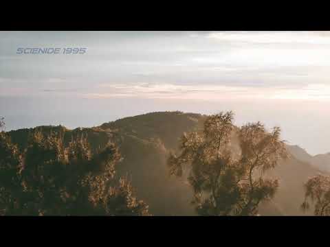 DUB TECHNO || Selection 012 ||