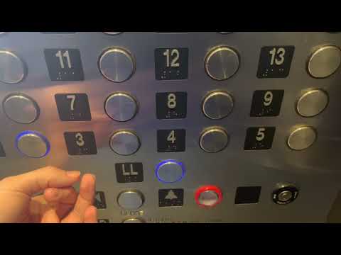 (BUSY) Innovated Schindler 500A Traction Elevators @ Wyndham Daytona Beach FL