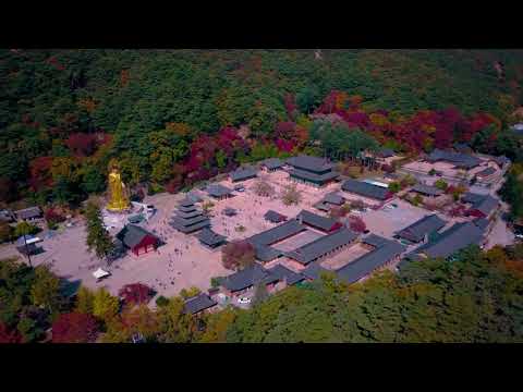 Boeun Beopjusa Temple (보은 법주사)