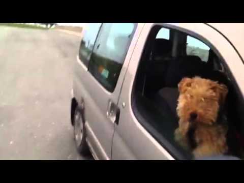 Gales over Prestatyn