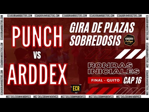 #Punch vs #Arddex | FINAL "Gira de Plazas" Sobredosis | by: #ECR Freestyle Ecuatoriano Cap. 16