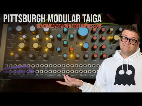 Taiga Semi Modular Synth - Realtime Overview and First Impressions
