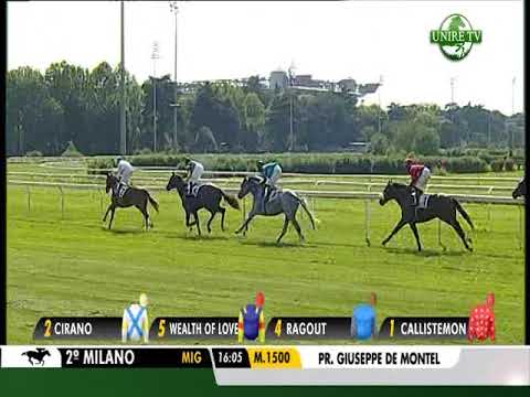 Premio Giuseppe De Montel - Listed Race