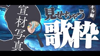 【歌枠】宣材写真お披露目しながら夏のチル歌枠🌙【にじさんじ/緋八マナ】