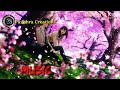 Ae Phoolon Ki Rani Bahaaron Ki What S App And Insta Status Video S
