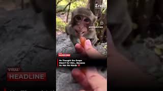 Music video thumbnail preview for #hearttouching #love #youtube #respect #selflove #reels #monkey #reel #shorts #short #jesus #king by Vaginal Jesus