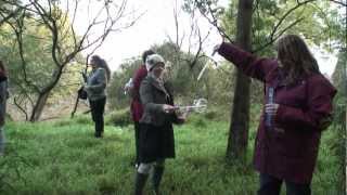 Creating A New Normal - Firefoxes Australia