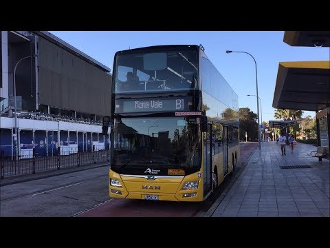 STA Sydney 2852 ST - MAN ND323F (ZF EcoLife)