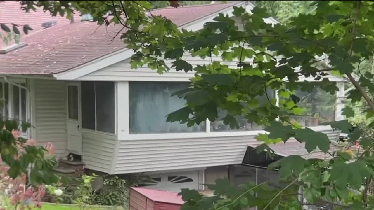 HUNDREDS of birds and other animals seized from Long Island veterinarian's home | NBC New York