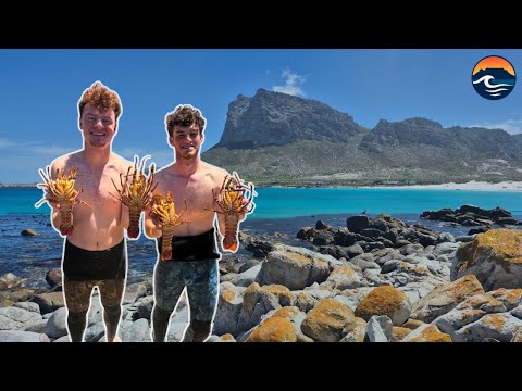 Crayfish Diving in Cape Town | Catching an Octopus and Shark by Hand at Hangklip