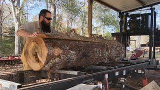 Sawing Beautiful WIDE Cypress Lumber | TimberKing 1600