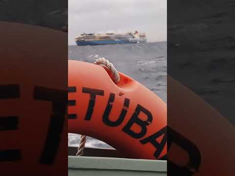 4,000 Luxury Cars Lost at Sea—What Happed?