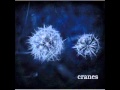 cranes   cloudless