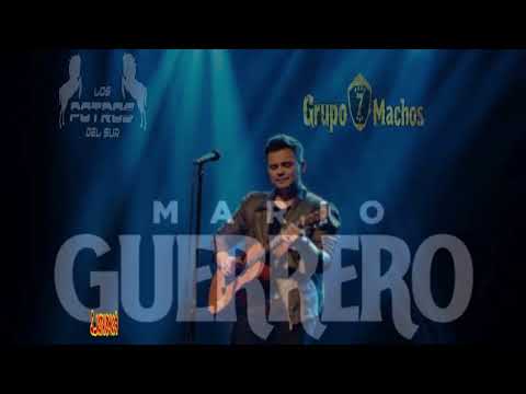 Se Te Olvidó - FEAT, MARIO GUERRERO - LOS POTROS DE SUR - GRUPO 7 MACHOS (AUDIO IA)