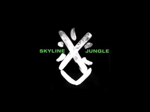 Skyline - Flame (Official Audio)