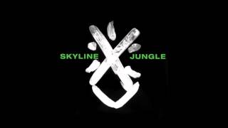 Skyline - Flame (Official Audio)