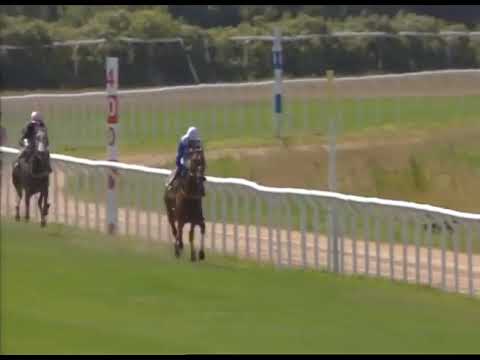 180729 Kval Göteborg Galopp