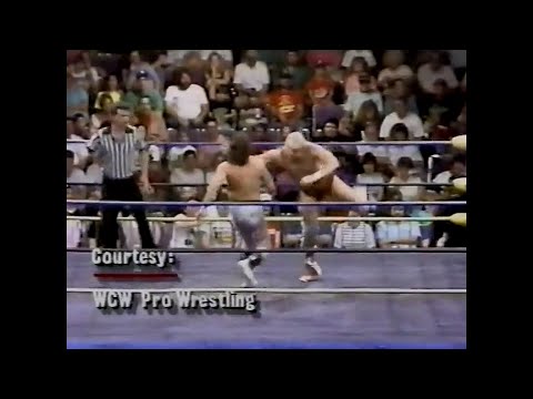 Barry Windham in action   Pro June 1st, 1991