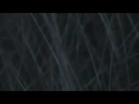 Video thumbnail for Flutter