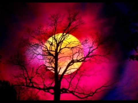 Solefald-Sun I Call (Havoc Unit Remix)