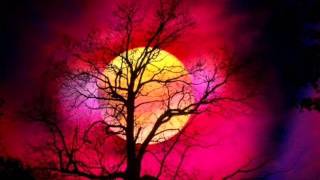 Solefald-Sun I Call (Havoc Unit Remix)