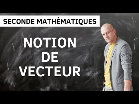 Comment utiliser la relation de Chasles ? - Notion de vecteur - Exercice de Seconde #25