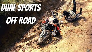 DUAL SPORTS Tackle GNARLY OFF-ROAD Trails (WR250R & CRF250L)