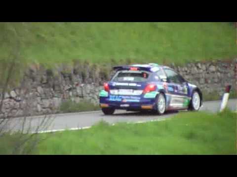 ERC-CIR 34° Rally 1000 Miglia 2010