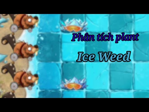 Phân tích plant : Ice Weed | New plant | Plants vs Zombies 2 v9.3.1