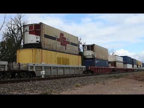 Freight Train (6MP9)