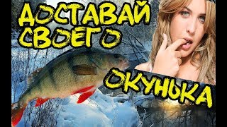 Отчет о рыбалке омской области