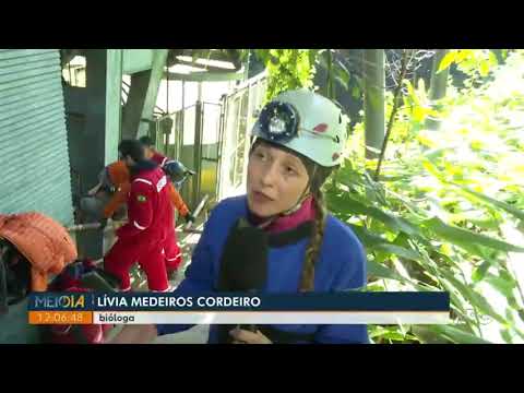 Estudo da fauna e flora pode reativar elevador panorâmico em furna do Parque Vila Velha