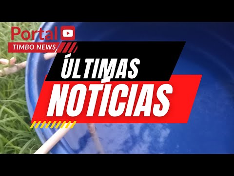 Timbo News - Portal de Noticias Nova Timboteua