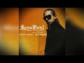 SEAN PAUL   WE BE BURNIN' - REMIX AFRO 2025 DJRUN