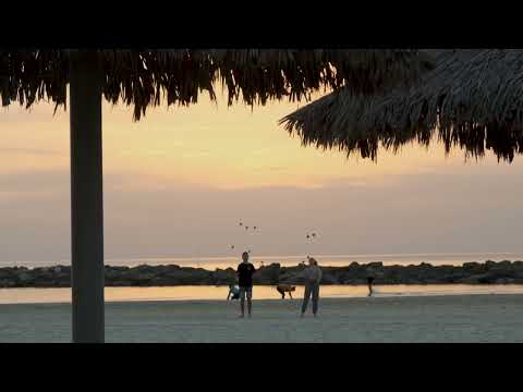 Ball Juggling by Tamuz Vardi & Ayala Eshkoli from Israel | IJA Tricks of the Month