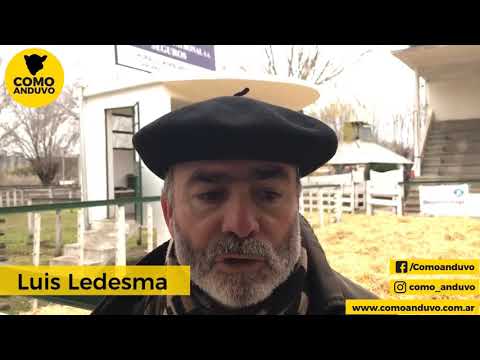 01-07-21 - Luis Ledesma - Martillero - Expo. Hereford de Otoño - Tandil, Bs.As.