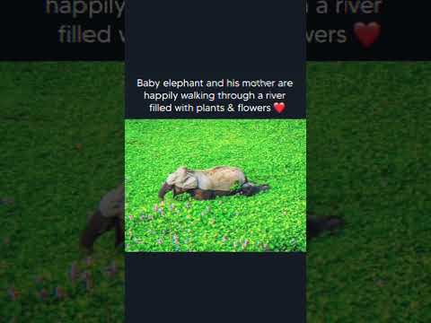 every moment with mom will be like this ❤️❤️🥰