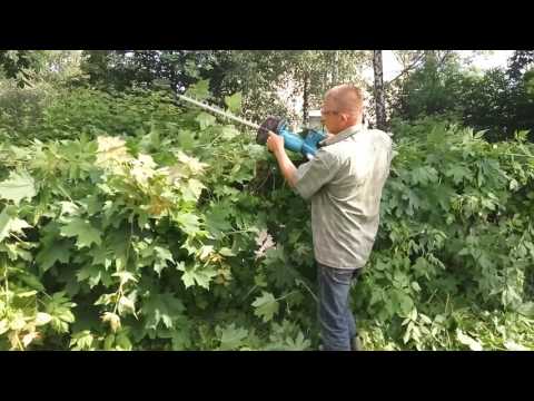 Krūmapjovė 2*18V DUH 551Z be akum., be pakrovėjo MAKITA video