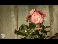 Vintage Music Retro Sounds ● Acapulco (Shake) ● Piero Piccioni (HQ Audio)