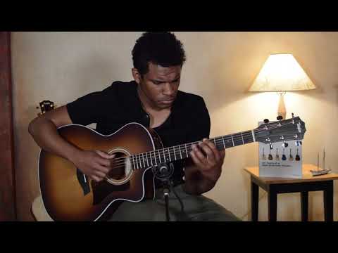 Taylor Guitars 214ce K SB - Demo