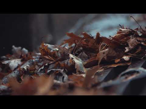 Sonido de lluvia relajante (11 minutos)