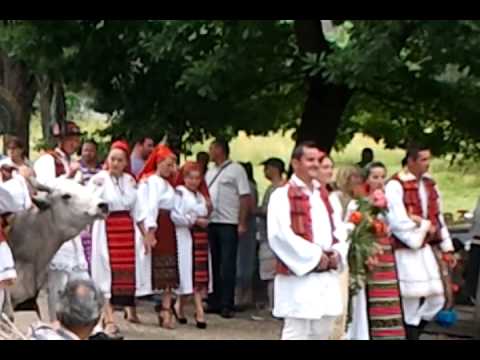 instrutatul boului ceanu mic muzeul etnografic cluj 15 iunie actualdecluj ro