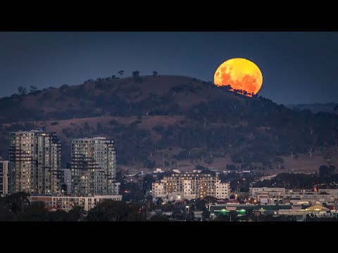 Rising Pink Full Moon, Canberra Australia