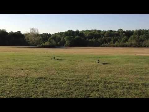 Bert Kammerer & Kyle Stacy - Goblin 570 at Huntsville