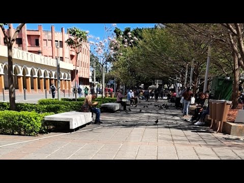 VEAMOS COMO ESTA EL DESCHONGUE EN LA PLAZA LIBERTAD